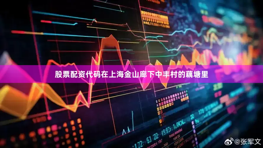 股票配资代码在上海金山廊下中丰村的藕塘里