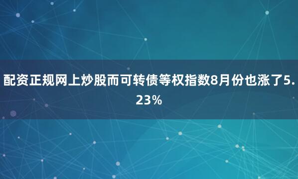 配资正规网上炒股而可转债等权指数8月份也涨了5.23%