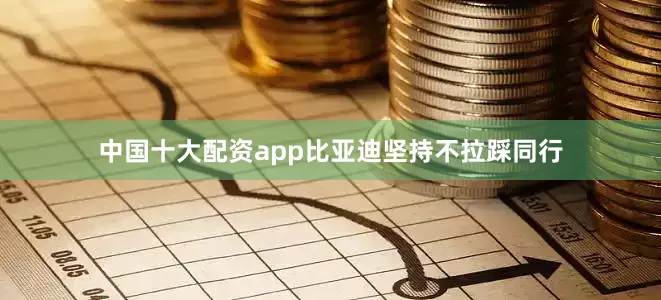 中国十大配资app比亚迪坚持不拉踩同行